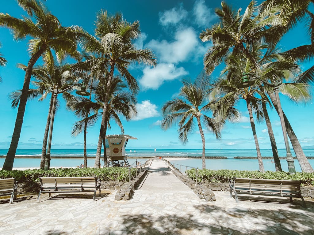 Beautiful Waikiki Beach with palm trees and lifeguard tower under clear blue skies.