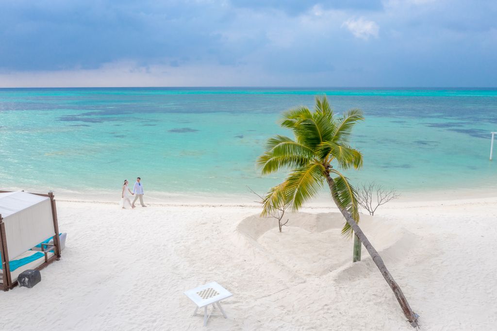 A couple holding hands on a serene tropical beach with turquoise waters and palm tree.