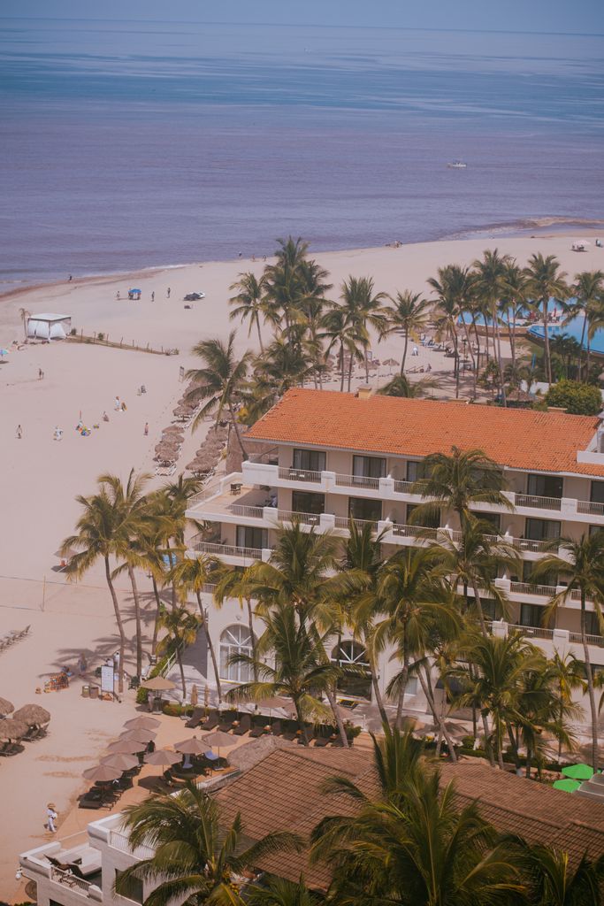 A vibrant aerial shot of Puerto Vallarta's coastline with lush palm trees and sandy beaches.